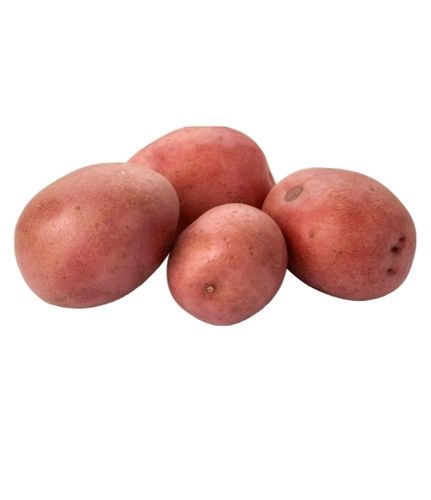 Indian Origin Naturally Grown Fresh Red Potatoes