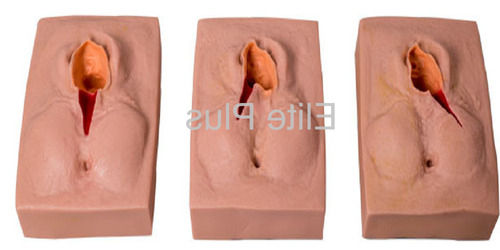 Vulva Suturing Training Simulator