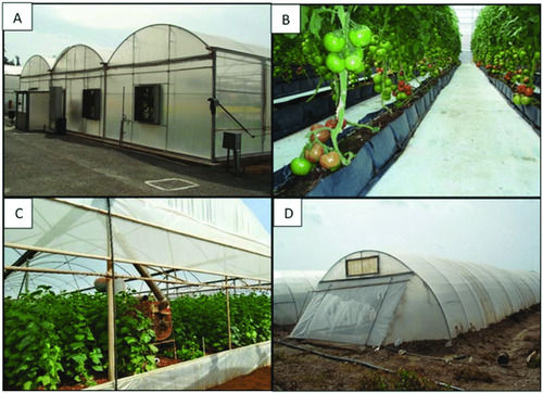 Greenhouse 