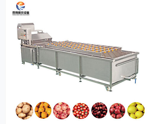 Automatic Fruit Washer