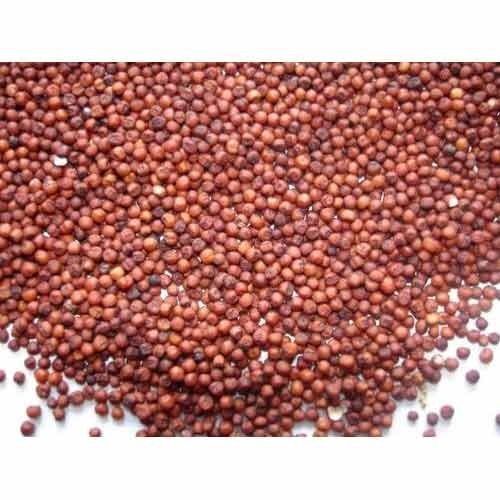 A Grade 100 Percent Purity Rich In Protein Indian Origin Healthy Dried Edible Red Millet