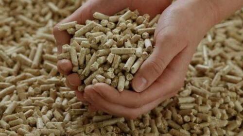 Paddy Biomass Pellets