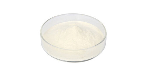 Food Grade Lactase, Beta-Galactosidase, 100 000 Alu/g