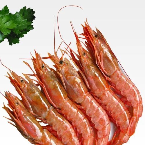 Rich In Vitamins Jumbo Prawns For Home And Resturant