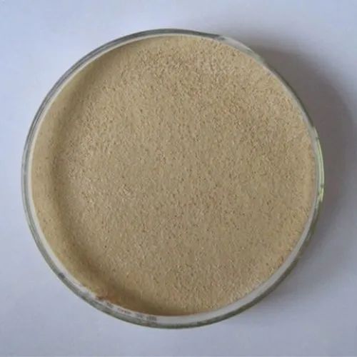 High Alkaline Protease For Detergent Industry
