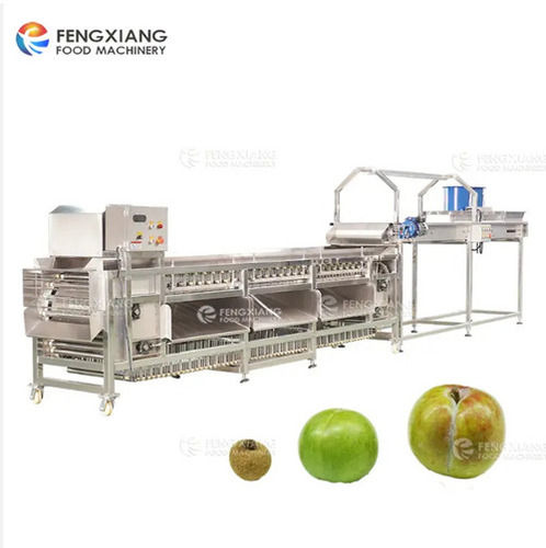 Fruit and Vegetable Sorting Machine