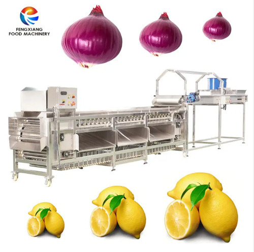 Potato Sorting Grading Machine