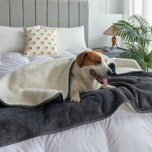 Smooth Texture Pet Blankets