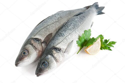 barb fish