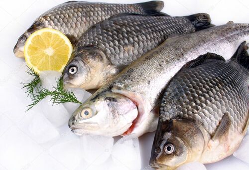 fish