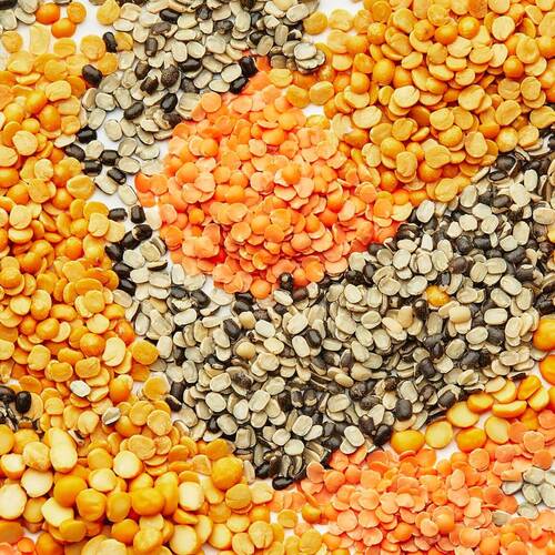 Sun Dried Organic Mix Pulses