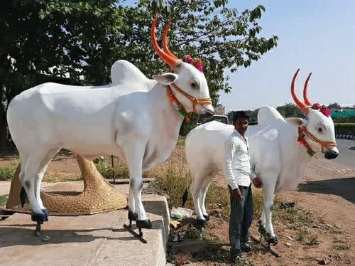 Polished Finished Fiber Ox Sculpture