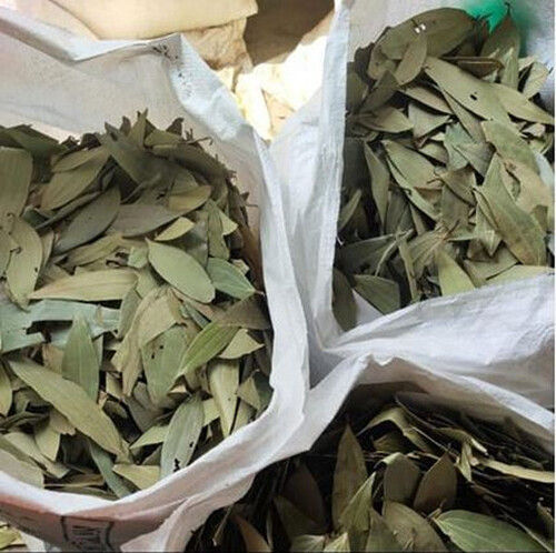 Gluten Free Organic Dried Bay Leafs