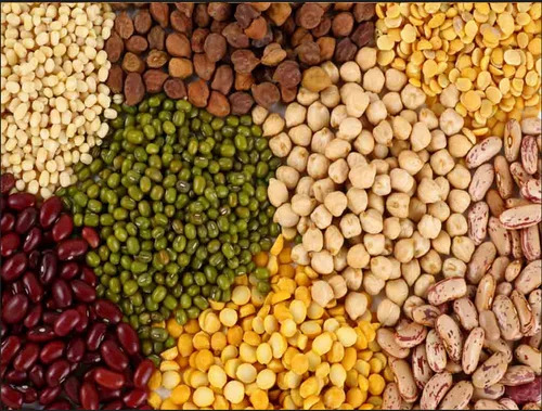 Agro Product