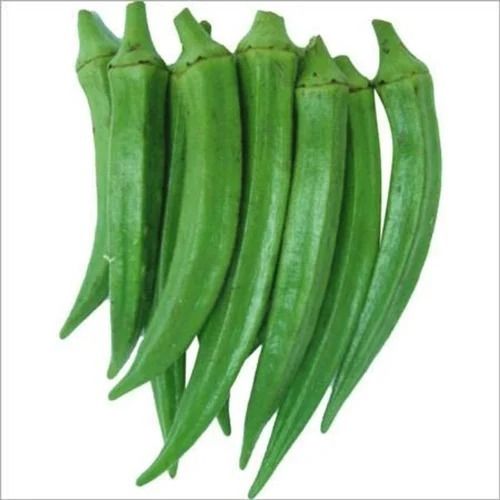 Avira Diamond Okra Seeds