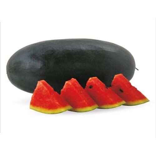 Avira Maharaja Dark Red Sweet Water Melon Seeds