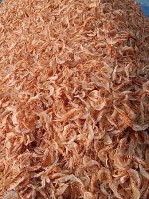 dried shrimp