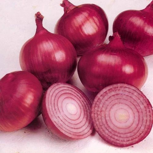 fresh red  onion