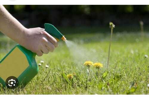 Agricultural Chemical Herbicides