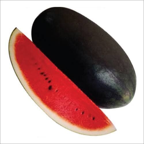 Avira Cylinder Deep Red Watermelon Seeds