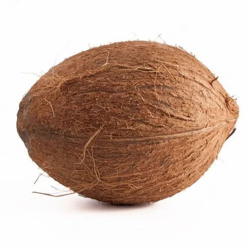 Dried Brown Color Semi Husked Coconut