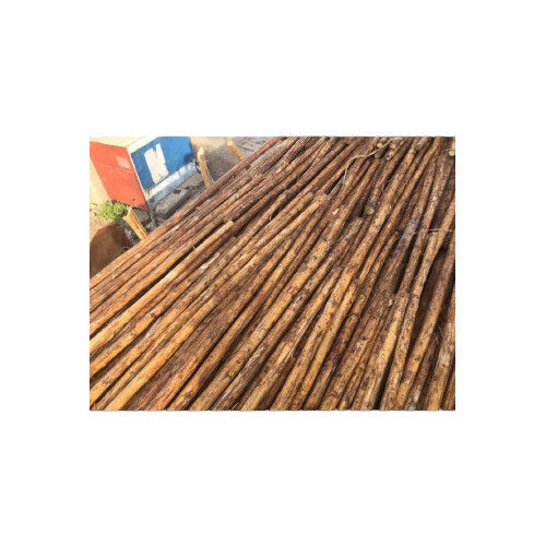 Termite Resistant Round Eucalyptus Poles Wood Logs