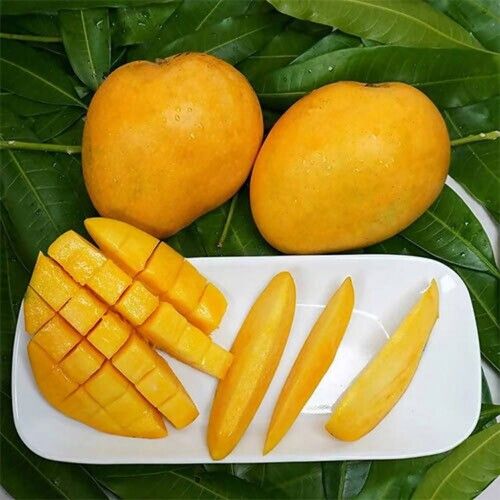 Yellow Mango