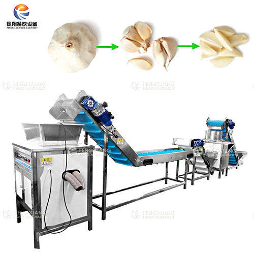 Automatic Garlic Clove Peeling Production Line