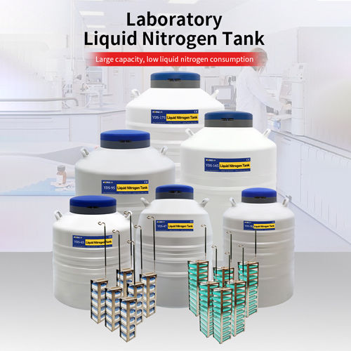 Belarus Liquid Nitrogen Container for Cell Storage KGSQ