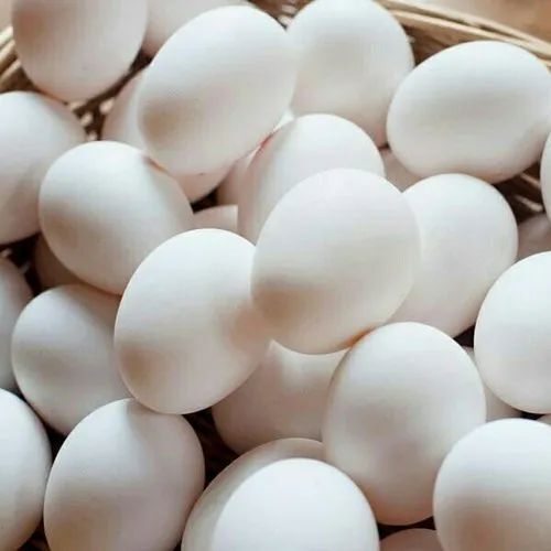 White Chicken Eggs