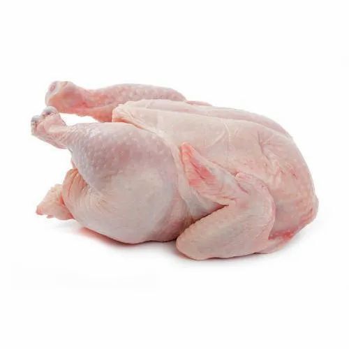 Fresh Frozen Chicken Meat