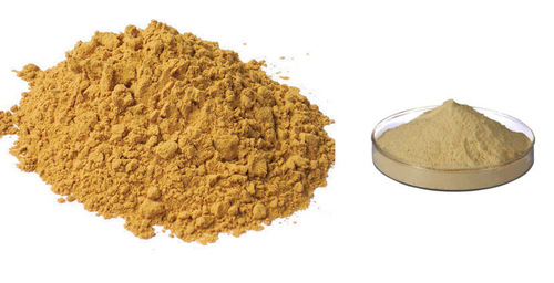 Meat Extract Powder