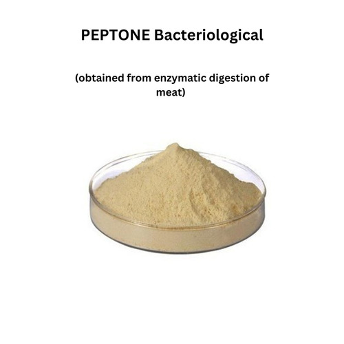 Peptone Bacteriological Powder - Premium Nutrient-Rich Formula, Supports Microbial Growth and Metabolism, Free from Contaminants, Perfect for Culture Media and Cell Cultures