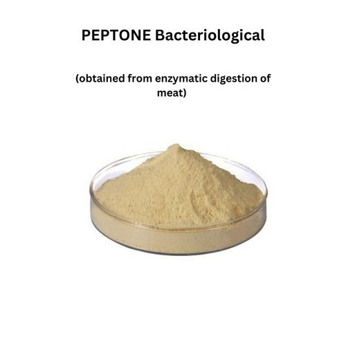 Peptone Powder