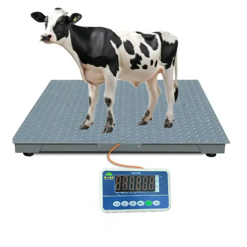 Animal Platform Weighing Scale