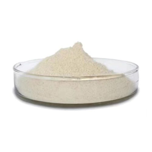 Powder Form Closantel for Animal Health