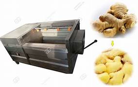 Ginger Washer Cum Peeling Machine