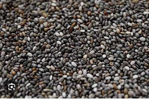 Chia seeds                                                     