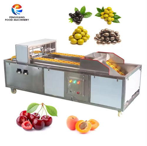 Cl-i Plum Seed Removing Machine