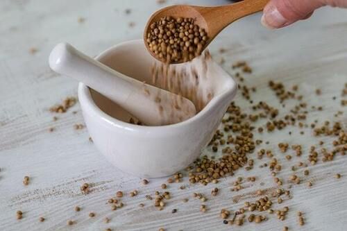 Organic Coriander Seeds