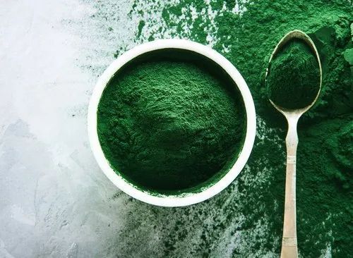 Spirulina protein Powder