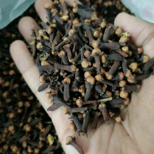 Brown Whole Clove Indian Spice