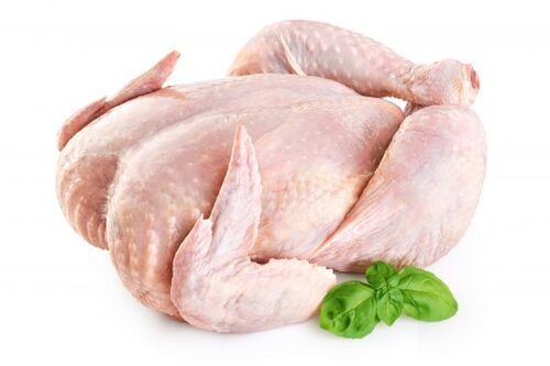 Rich In Vitamin And Protein Nutrient Enriched Healthy Skinless Frozen Halal Chicken Meat