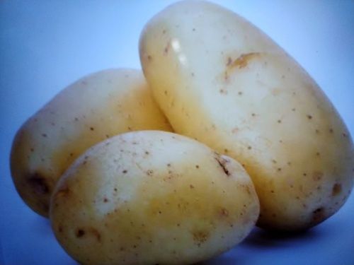 Natural Farm Fresh Potatoes