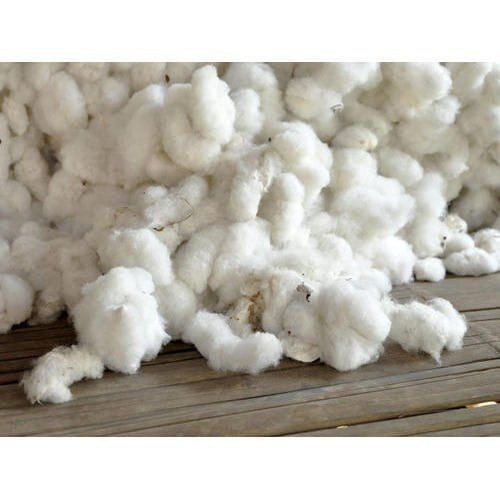 White Raw Cotton