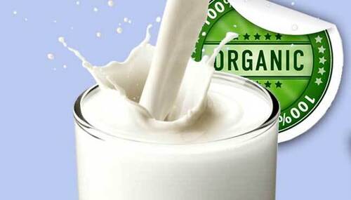 Organic Milk