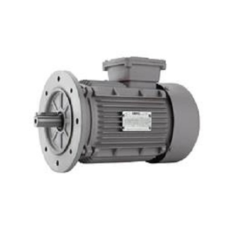 Flange Type Induction Motor