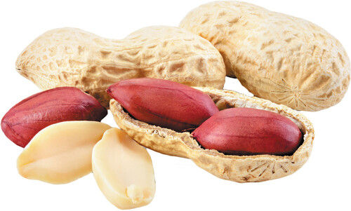 Red Peanut