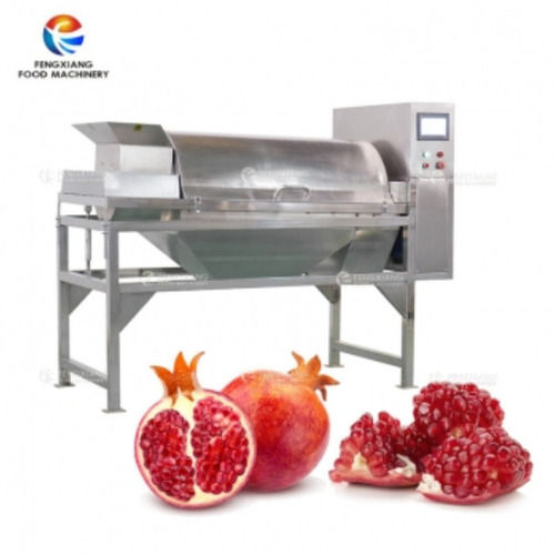 fruit pulp machine