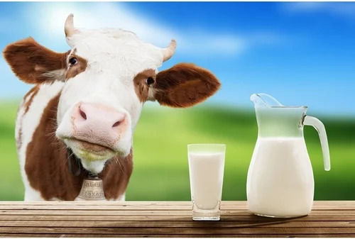 Milk at Best Price in Kolkata, West Bengal | Rockey Dairy Farm